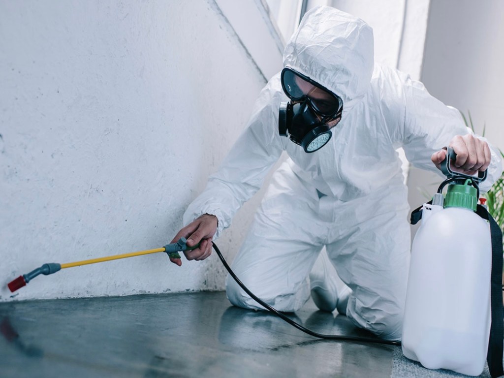 man spraying residual in home, office, factory to prevent pests